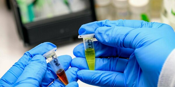 Hands in blue gloves hold two clear vials: one with reddish-brown liquid, the other with bright green liquid.